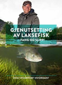 Vileder for gjenutsetting av laksefisk